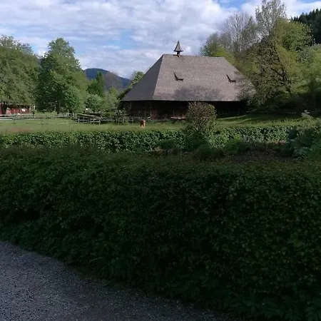 Ferienwohnung Adelsberg Alpirsbach Exterior foto