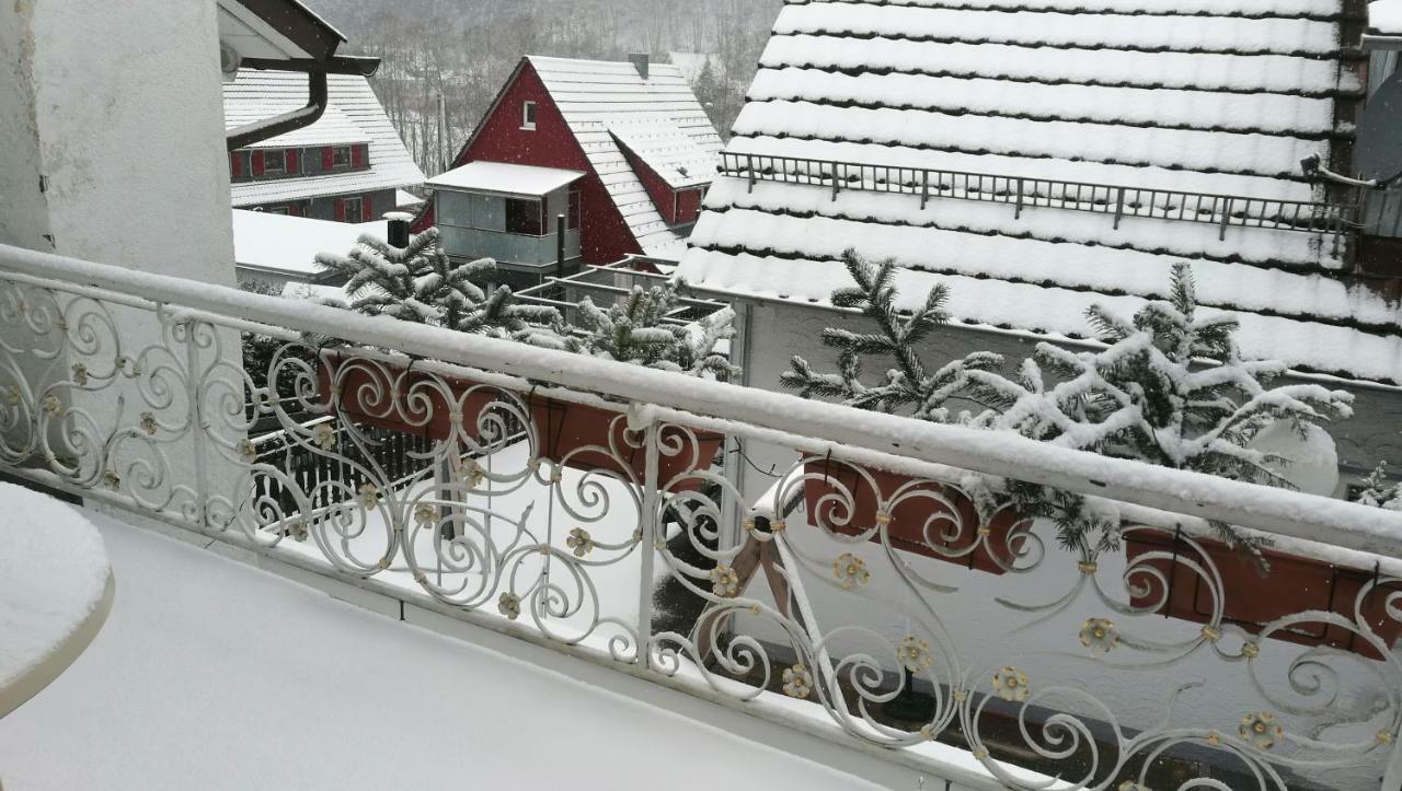 Adelsberg Apartment Alpirsbach